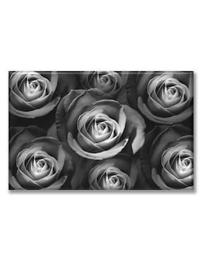 Cuadro Decorativo Industria Gráfica Ciento 23 Rosas Bn