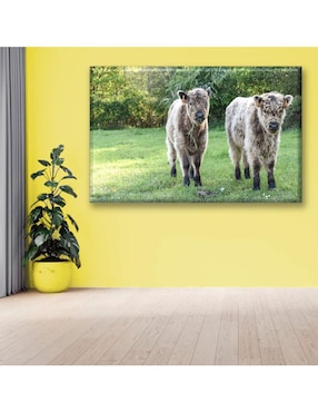 Cuadro decorativo Industria Grafica Ciento 23 Vaquitas peludas