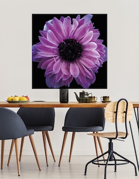 Cuadro decorativo Cosecha de anémona morada técnica mixta Cuadros Jr Floración