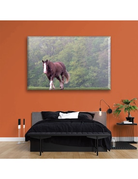 Cuadro decorativo Industria Grafica Ciento 23 Caballo caminando