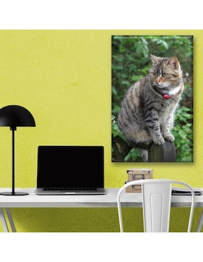 Cuadro decorativo Industria Grafica Ciento 23 Gato en barandal
