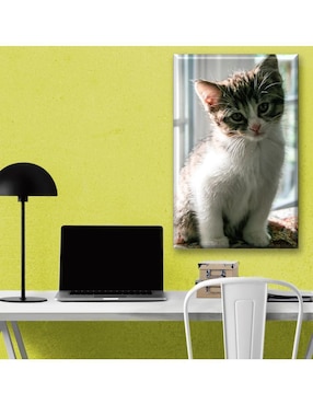 Cuadro decorativo Industria Grafica Ciento 23 Gatito curioso
