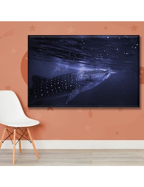Cuadro decorativo Industria Grafica Ciento 23 Tiburón ballena