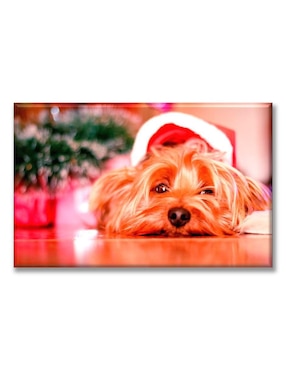 Cuadro decorativo Industria Grafica Ciento 23 Perrito navideño