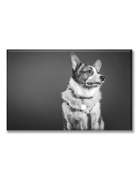 Cuadro Decorativo Industria Grafica Ciento 23 Corgi