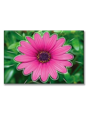 Cuadro Decorativo Industria Grafica Ciento 23 Flor Magenta Delineada