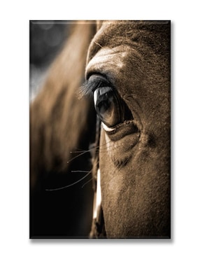 Cuadro decorativo Industria Grafica Ciento 23 Ojo de caballo