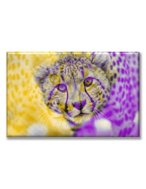 Cuadro decorativo Industria Grafica Ciento 23 Leopardo colores