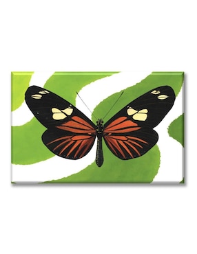 Cuadro Decorativo Industria Grafica Ciento 23 Mariposa Fondo Verde