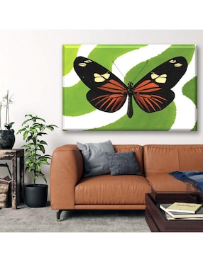Cuadro decorativo Industria Grafica Ciento 23 Mariposa fondo verde