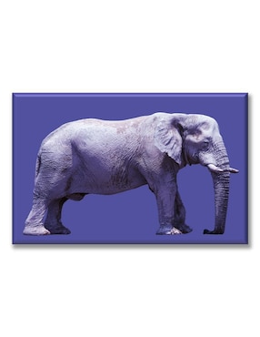 Cuadro Decorativo Industria Grafica Ciento 23 Elefante Morado