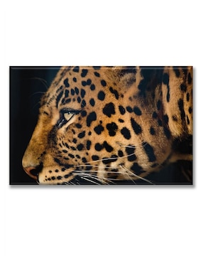 Cuadro Decorativo Industria Gráfica Ciento 23 Leopardo