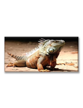 Cuadro Decorativo Industria Gráfica Ciento 23 Iguana