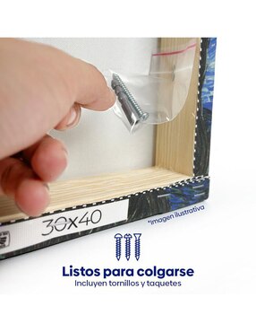 Cuadro decorativo Canvas Lab El caballo