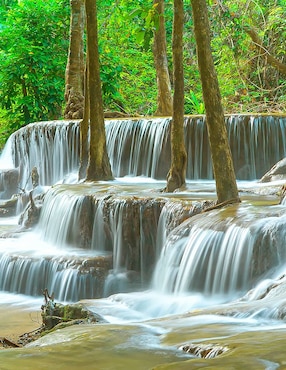 Litografía Un Toque Francés Naturaleza técnica acrílico