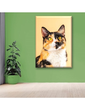 Cuadro decorativo Industria Grafica Ciento 23 Gato calico