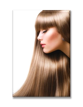 Cuadro Decorativo Industria Gráfica Ciento 23 Cabello Brillante