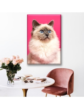 Cuadro decorativo Industria Grafica Ciento 23 gato persa