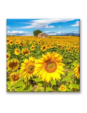 Cuadro Decorativo Industria Gráfica Ciento 23 Campo De Girasoles