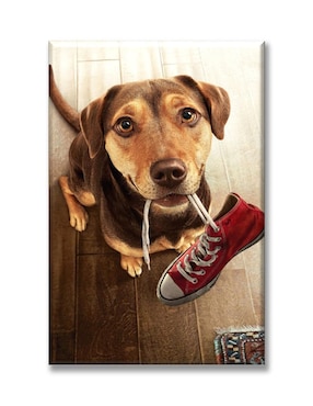 Cuadro Decorativo Industria Gráfica Ciento 23 Perro Con Tenis