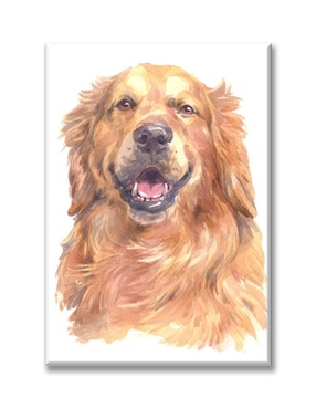 Cuadro Decorativo Industria Gráfica Ciento 23 Golden Retriever Acuarela