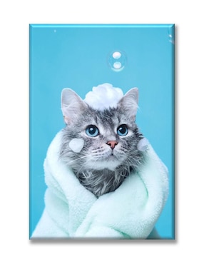 Cuadro Decorativo Industria Gráfica Ciento 23 Baño Al Gato