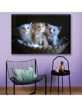 Cuadro decorativo Industria Grafica Ciento 23 3 gatitos