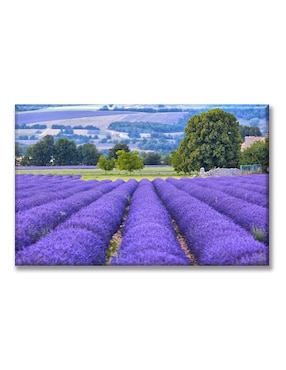 Cuadro Decorativo Industria Gráfica Ciento 23 Campo De Lavanda