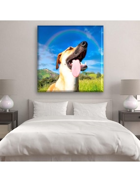 Cuadro decorativo Industria Grafica Ciento 23 Perro arcoiris