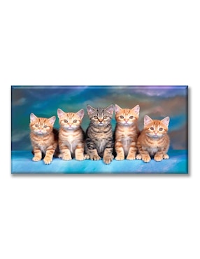 Cuadro decorativo Industria Grafica Ciento 23 Michis