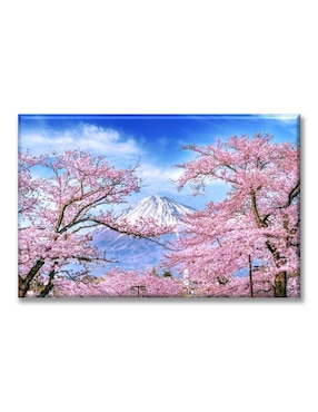 Cuadro Decorativo Industria Gráfica Ciento 23 Primavera Japón