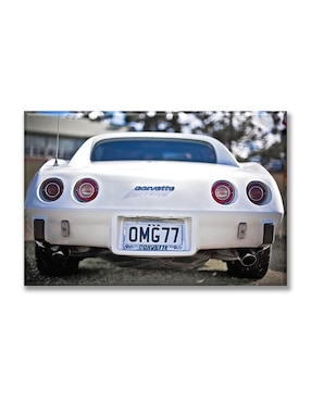 Cuadro decorativo Industria Grafica Ciento 23 Corv blanco
