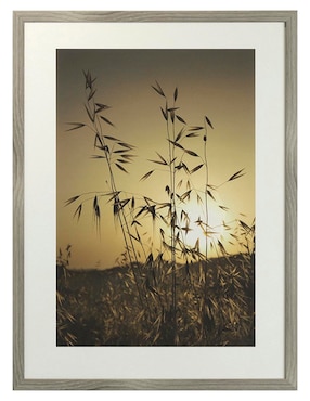Fotografía N Narrative Tuscan Fields