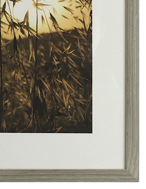 Fotografía N Narrative Tuscan Fields