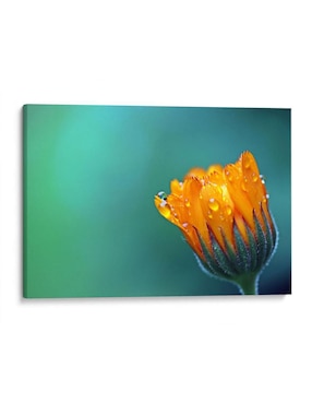 Cuadro decorativo Canvas Lab Gotitas sobre los pétalos