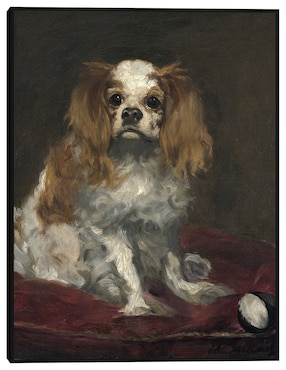 Cuadro decorativo Un rey Charles Spaniel (c. 1866) técnica mixta Cuadros Jr Animales Domésticos