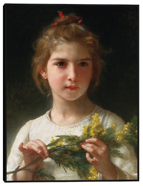 Cuadro decorativo Mimosa (1899) técnica mixta Cuadros Jr Retratos
