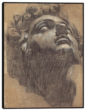 Cuadro decorativo Cabeza de Giuliano de Medici (década de 1540) técnica mixta Cuadros Jr