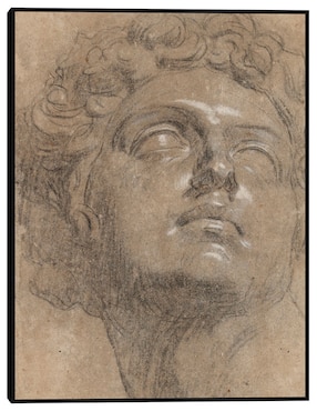Cuadro decorativo Cabeza de Giuliano de Medici (década de 1540) técnica mixta Cuadros Jr