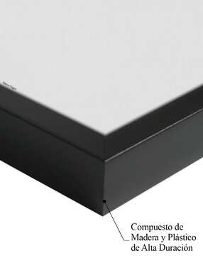 Cuadro decorativo Cabeza de tigre (hacia 1874) técnica mixta Cuadros Jr Vida Silvestre