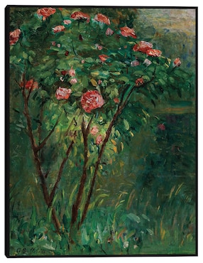 Cuadro decorativo El rosal en flor (c 1884-1885) técnica mixta Cuadros Jr Primavera