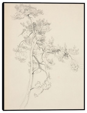 Cuadro decorativo Árbol y follaje técnica mixta Cuadros Jr Formas