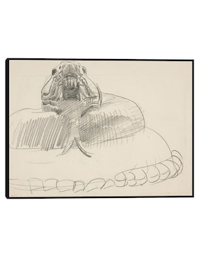 Cuadro decorativo Serpiente de cascabel técnica mixta Cuadros Jr Bocetos