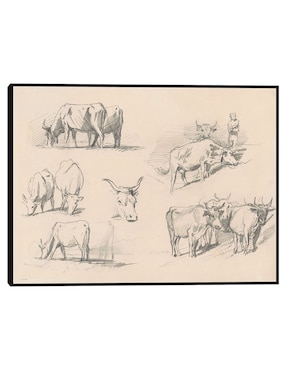 Cuadro decorativo Estudios de ganado (c. 1872) técnica mixta Cuadros Jr Bocetos