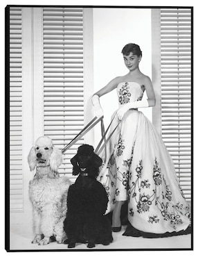 Cuadro decorativo Audrey Hepburn en Sabrina (1954) técnica mixta Cuadros Jr Retratos