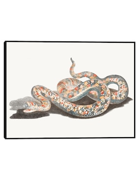 Cuadro decorativo Una Serpiente técnica mixta Cuadros Jr Obras