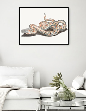 Cuadro decorativo Una Serpiente técnica mixta Cuadros Jr Obras