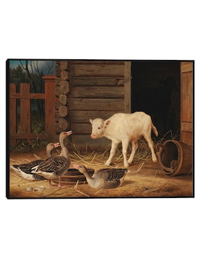 Cuadro decorativo Par De Eiders Comunes Sobre Una Roca (1869) técnica mixta Cuadros Jr Vida Silvestre