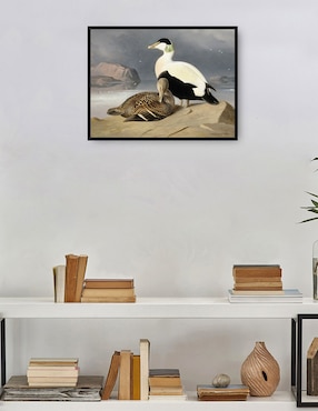 Cuadro decorativo Arrendajos (1877) técnica mixta Cuadros Jr Aves Silvestres