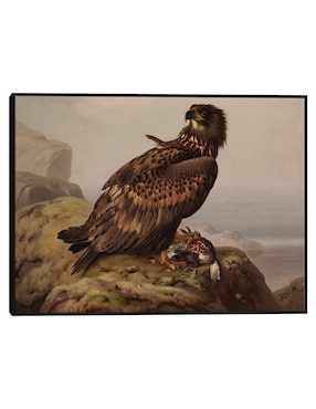 Cuadro decorativo Estudio Para Libro Del Cielo Simulado Por Flamencos Blancos, Que Oculta La Coloración En El Reino Animal (Ca. 1905-1909) técnica mixta Cuadros Jr Vida Silvestre